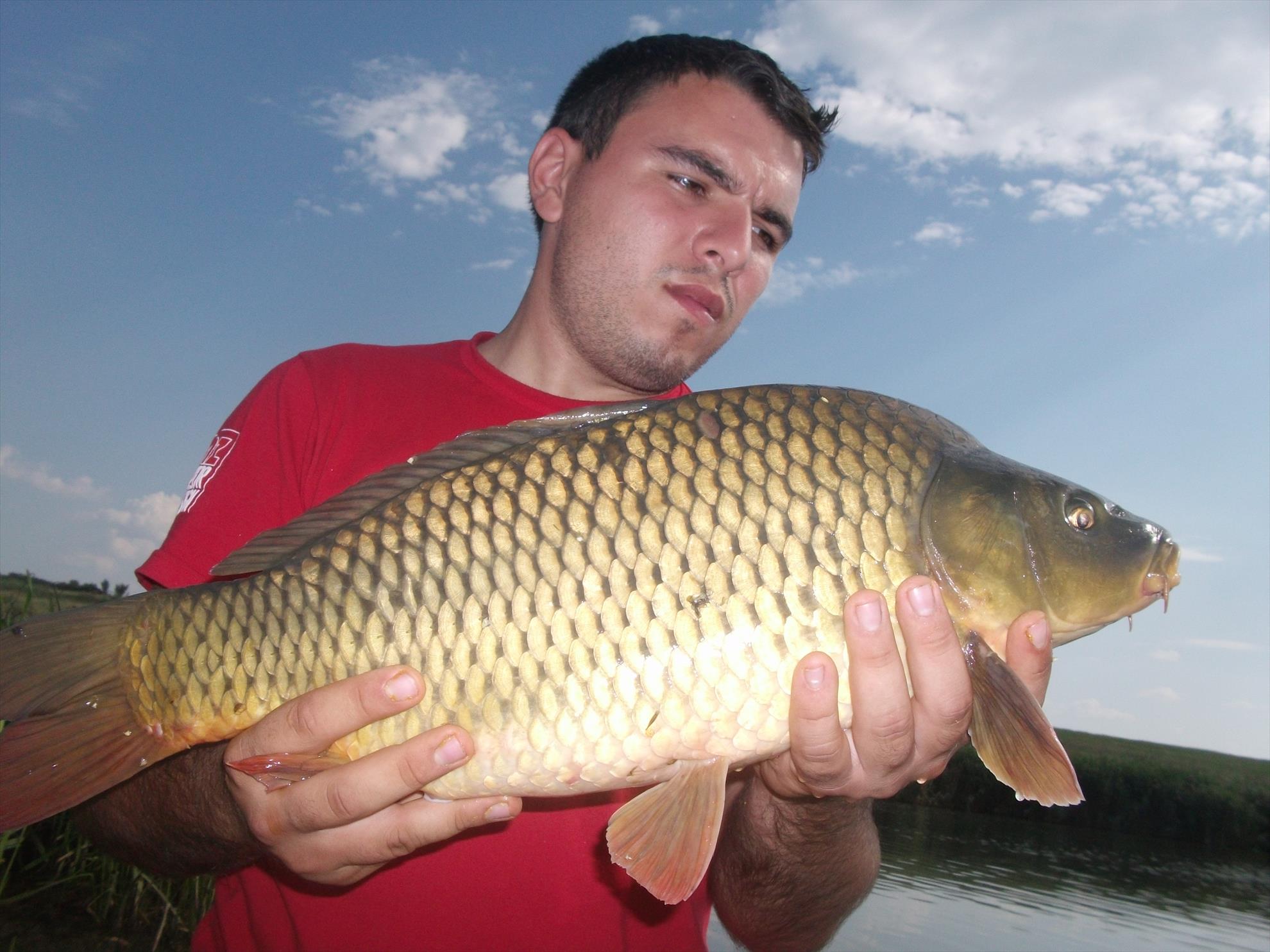 Walter 25-26.07.2013 - dscf0785.jpg